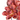 KA BOTANICA #2651