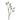 SS CONE GINGER SPRAY 37"