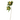 KA BOTANICA #3167