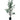 DF ARBOL EUCALIPTO 152CM