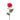 RZ VARA PEONIA 25" REAL TOUCH