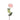 RZ VARA PEONIA 25" REAL TOUCH