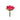 RZ RAMO DE ROSAS 12" REAL TOUCH