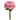 RZ RAMO DE ROSAS 17" REAL TOUCH