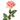 RI GARDEN ROSE 25"
