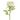 SL PEONY VINTAGE