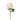 SL PEONIA CON BOTON 24"
