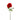 SS ROSAS FLOWER