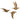 PAJAROS 3D